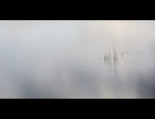 Intimate Landscape Critique
