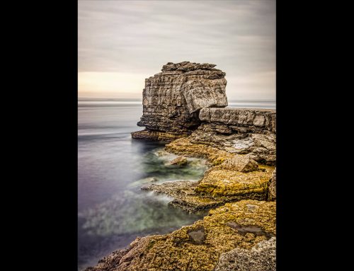 Landscape Competition